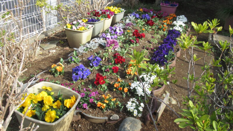 ふるさとセンター